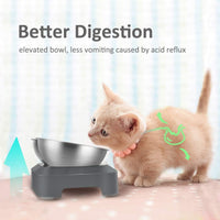 AYADA Raised Cat Food Bowl Stainless Steel 15 Degree Tilt – Essentials for Cats - Double - image 2