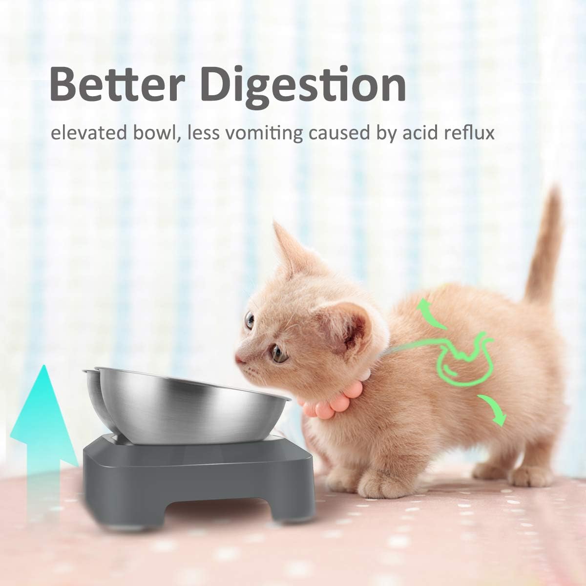 AYADA Raised Cat Food Bowl Stainless Steel 15 Degree Tilt – Essentials for Cats - Double - image 2