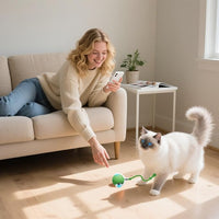 Interactive Cat Toy, 2025 New Interactive Rolling Cats Dog Toy Balls 360° Smart Automatic Rolling Pet Ball, Fast Moving Toy for Dog,Cat Ball Toy(Geen)