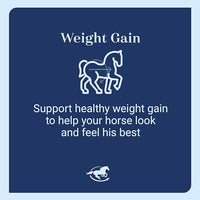 Smart & Simple 99% Fat | Horse Weight Gain Supplement Supports Ideal Body Condition in Horses | Easy to Use & Tasty High Fat Supplement Powder | 112 Servings | 14 lb Bag