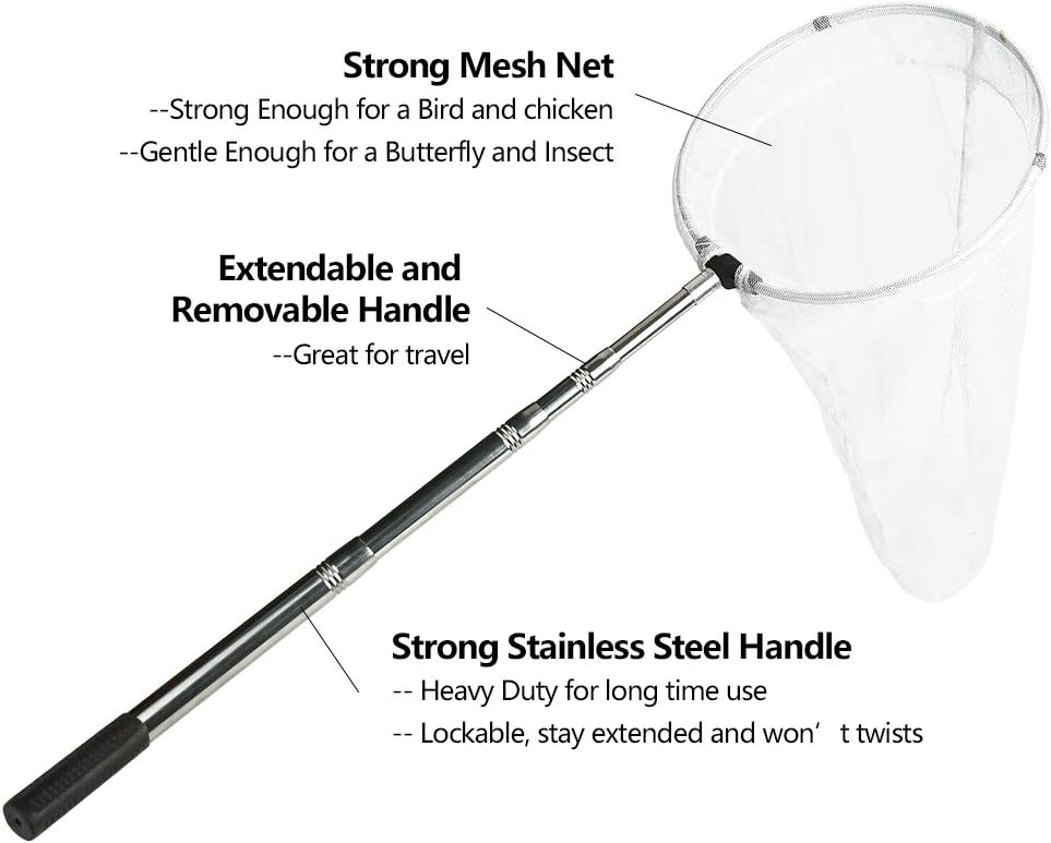 RESTCLOUD Insect and Butterfly Net with 12" Ring, 24" Net Depth - 12" Ring, 38" Handle - image 2