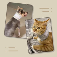 MANON ROSA Cat Neck Brace Elizabethan Collar for Pet After Surgery Recovery Adjustable Breathable Neck Cervical Cone for Small Medium Dogs Puppies Kittens with Spinal IVDD Issues (M 5.9-12.6",Grey)
