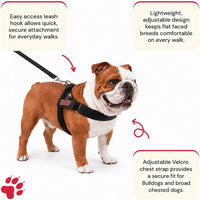 Adjustable Dog Harness, No Pull, No Choke, for English Bulldogs - NEON GREEN / Medium - (Neck: 17" - 20" Chest: 25" - 30") - image 2