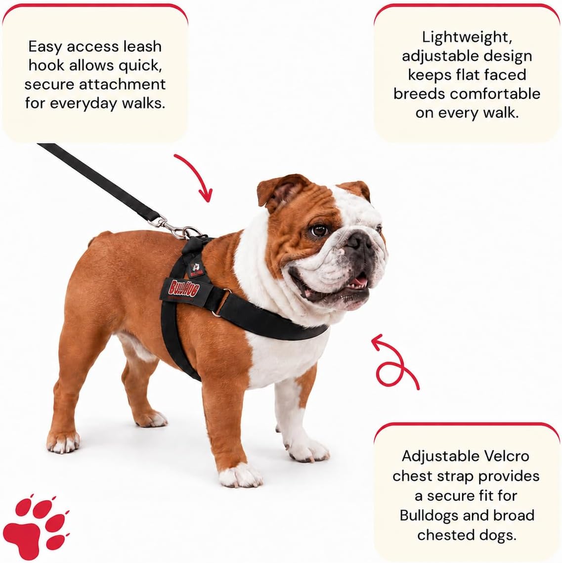 Adjustable Dog Harness, No Pull, No Choke, for English Bulldogs - NEON GREEN / Medium - (Neck: 17" - 20" Chest: 25" - 30") - image 2