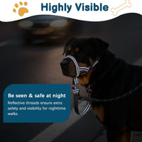 Muzzle Leash for Heavy Pullers, No Pull Stylish Head Halter – Essentials for Dogs - Blue / XL (Snout Cir: 12½"-14”) - image 4