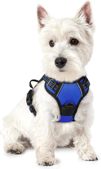 rabbitgoo Dog Harness, No Pull for Large Dogs with 2 Leash Clips - X-Small / Dazzling Blue