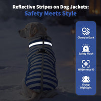 Dog Winter Jacket Cozy Reflective Waterproof Windproof Warm Pet - XXX-Large / Blue White Stripes - image 2