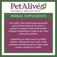 PetAlive Ear Dr. - Natural Ear Drops Promote Ear Comfort and Health in Cats and Dogs - Soothe Ear Discomfort to Reduce Constant Scratching - Keep Pets Ear Canals Clean and Clear - 30 mL