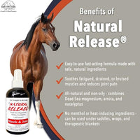 Natural Release Muscle Spray Treatment - Horse Liniment for Sore Muscles, Joint Pain, Tendon & Inflammation Relief - Easy to Use, Fast Acting, Alcohol & Menthol Free (8 oz)