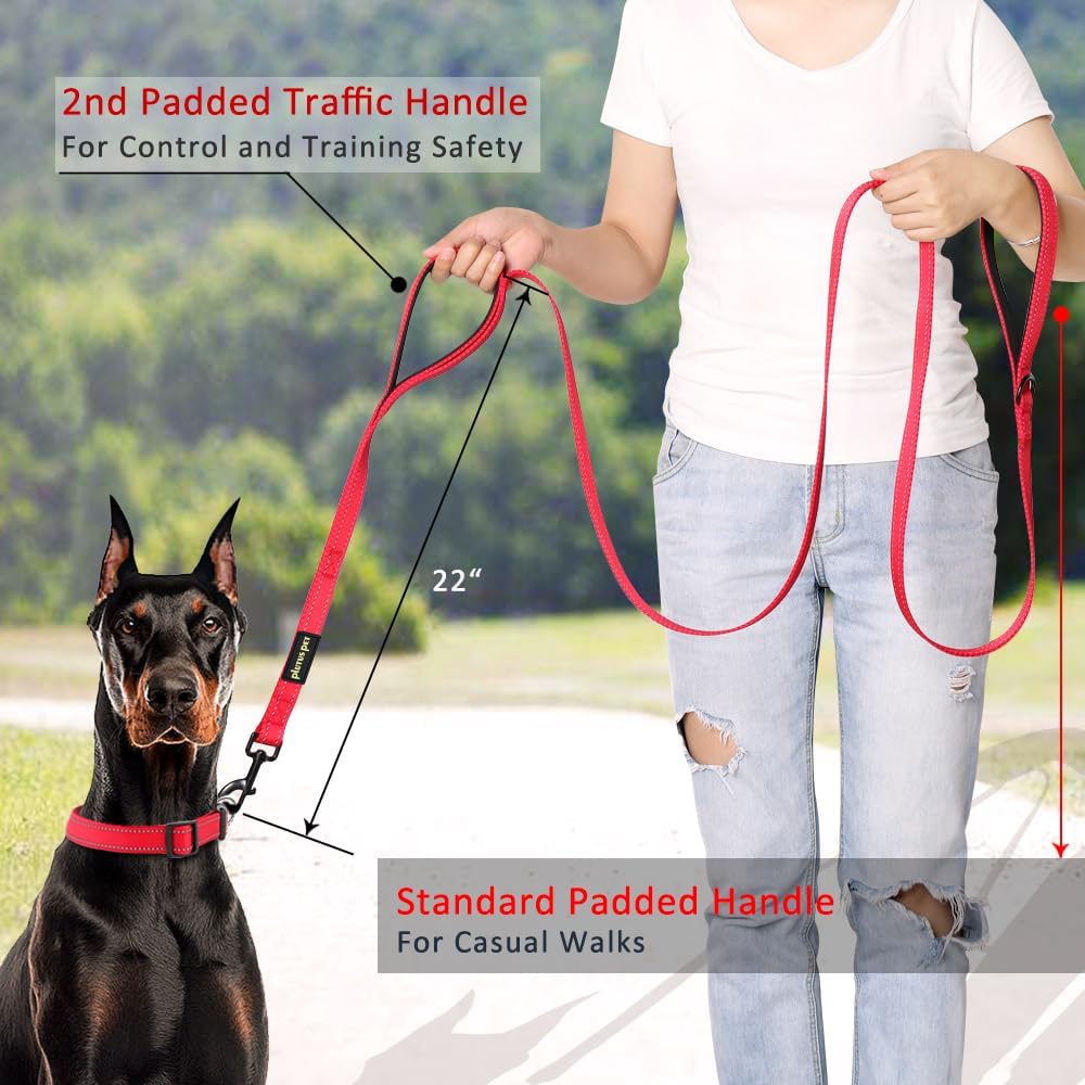 Plutus Pet Double Handle Dog Leash, for Medium Large Dogs - 6 FT / Red - image 2