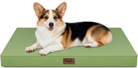 Outdoor Waterproof Orthopedic Dog Bed for Large Dogs – Essentials for Dogs - Light Green / 36.0"L x 27.0"W x 3.0"Th