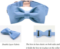 Lionet Paws Bowtie Dog Collar - X-Large (Pack of 1) / Blue - image 3