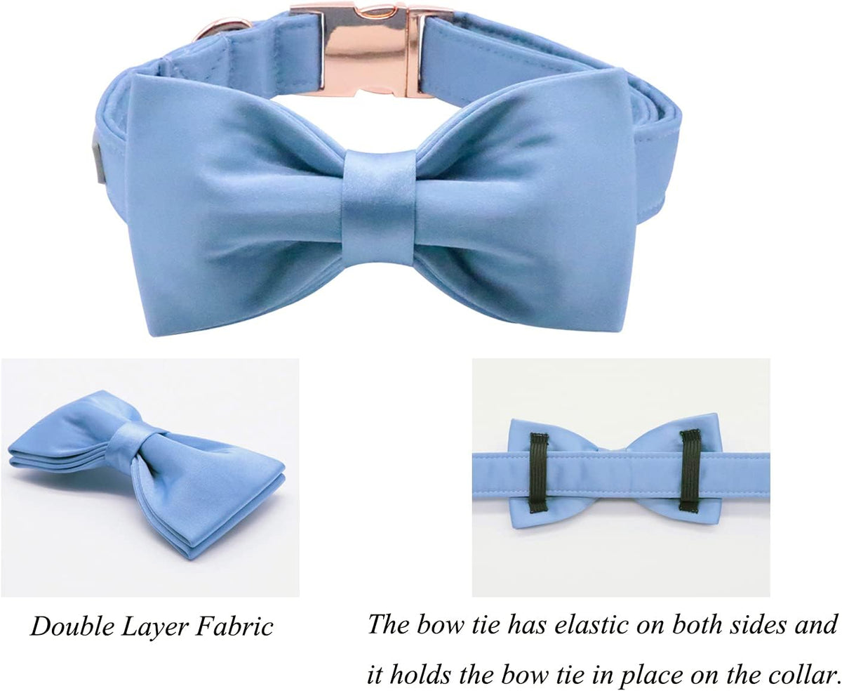 Lionet Paws Bowtie Dog Collar - X-Large (Pack of 1) / Blue - image 3