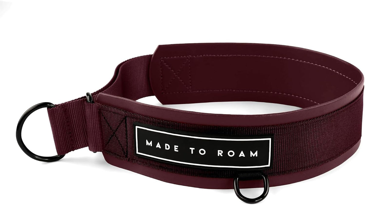 MADE TO ROAM Premium Everyday Dog Collar - Vermont Weekends / Size 5