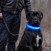 Light Up Collar for Small Dogs& Cats - M (15.0-19.7inch/ 38-50cm) / Blue - image 2