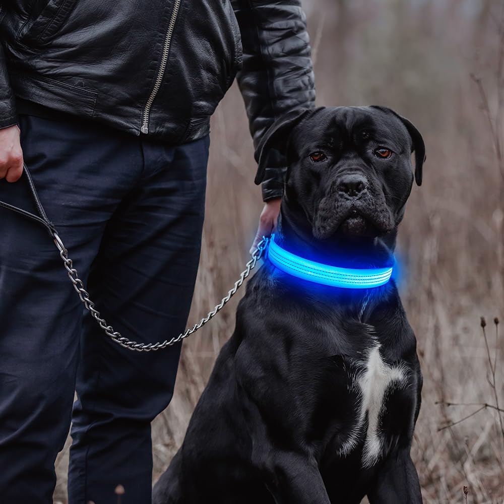 Light Up Collar for Small Dogs& Cats - M (15.0-19.7inch/ 38-50cm) / Blue - image 2