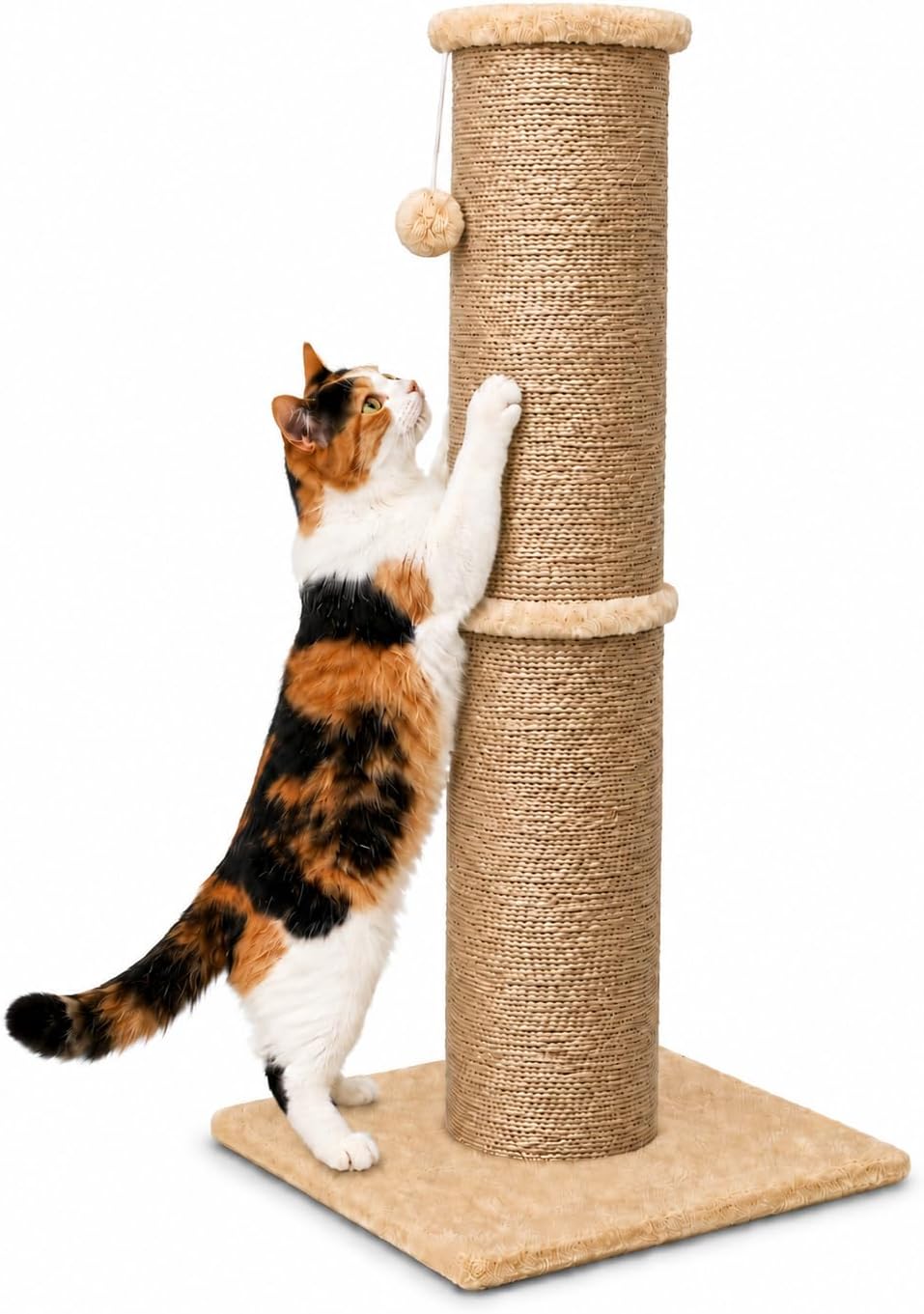 PAWSCRAT 32-Inch Tall Cat Scratching Post, Sisal - X-Large / Yellow