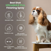 Best Shot UltraMAX Pro Finishing Spray - Sweet Pea / 34 fl oz - image 4