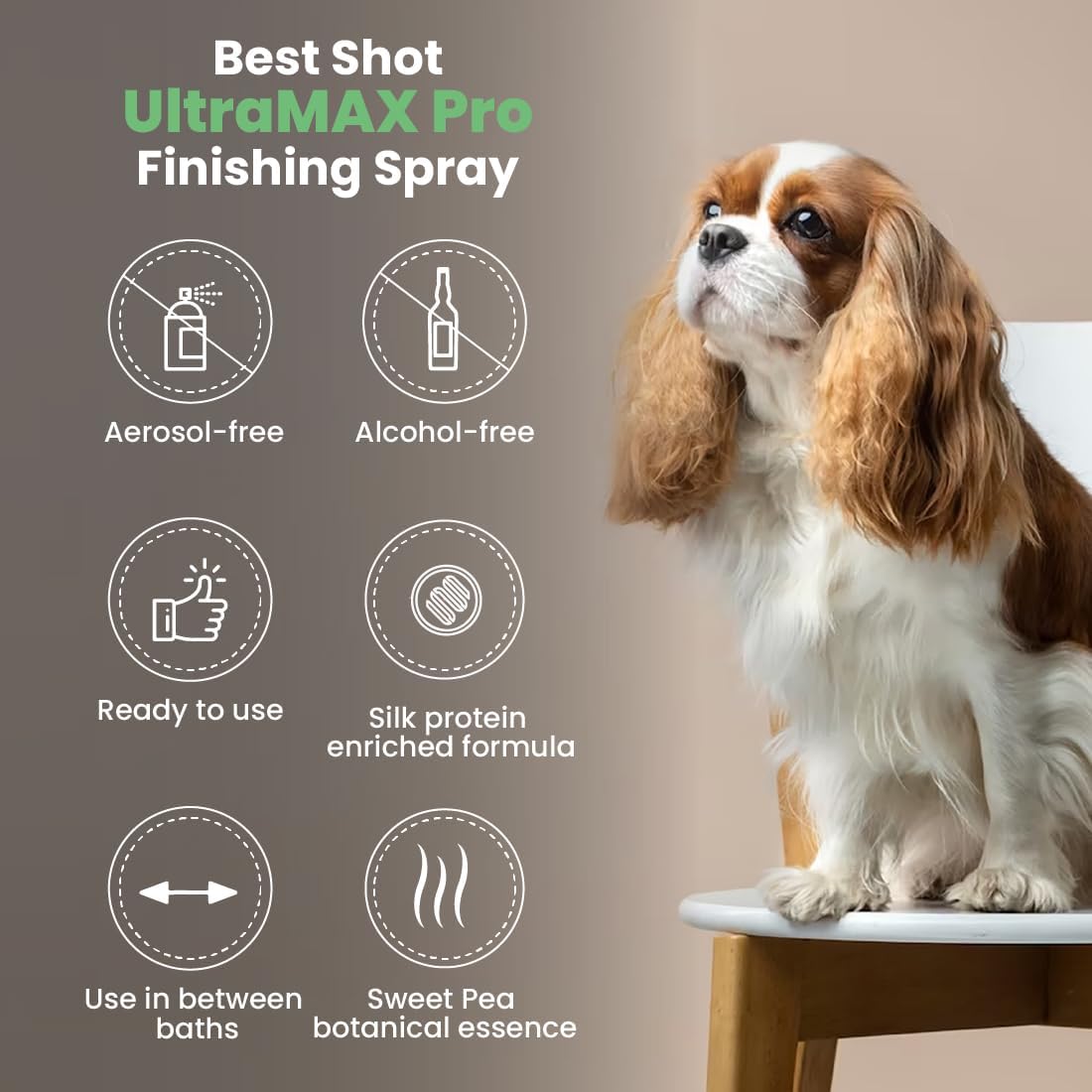 Best Shot UltraMAX Pro Finishing Spray - Sweet Pea / 34 fl oz - image 4