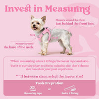 rabbitgoo Step-in Small Dog Harness - Light Pink / Xl(chest:20.0"-21.8") - image 2