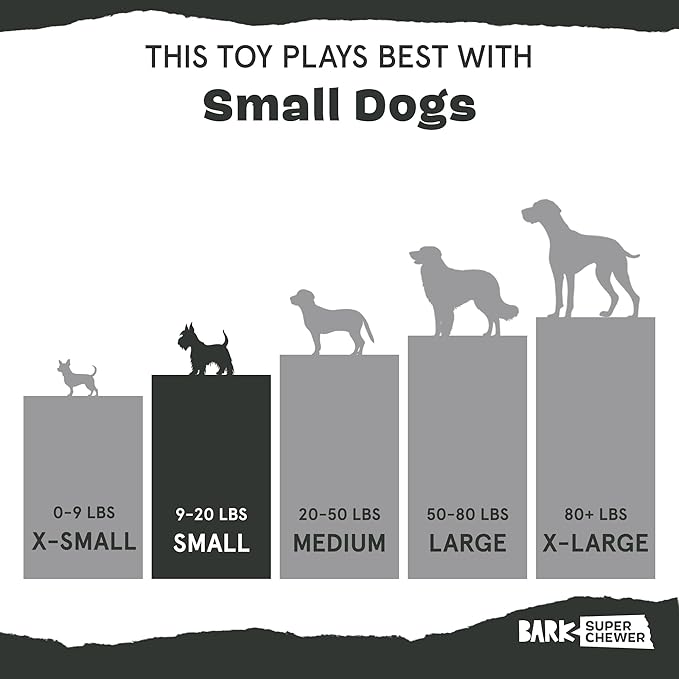 Barkbox Bear Hugger Dog Toy for Aggressive Chewers | 2-in-1 Plush & Rubber Treat-Dispensing Toy for Small Dogs | Puppy Teething Toys & Dog Toys to Keep Them Busy