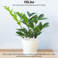 Aquarium Gravel,Landscaping Pebbles, Decorative Ornamental Pebbles Garden,Landscaping Stones Gravel Filler for Home Decoration Flower Bed Fish Tank Plants Vases Succulents (10 Pounds, White)