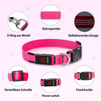 Light Up Collar for Small Dogs& Cats - L (18.9-23.6inch/ 48-60cm) / Pink - image 3