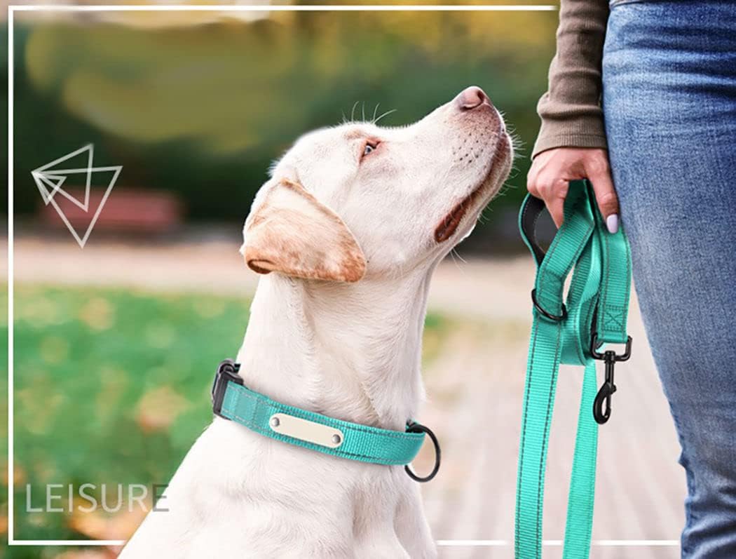 Reflective Nylon Dog Leash Heavy Duty - Purple / 6ft * 1" - image 2