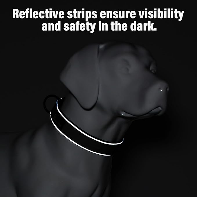 Plutus Pet Tactical Dog Collar, Reflective, Adjustable Heavy Duty Dog Collar, Soft Padded and Comfortable, for Small Medium and Large Dogs (Gray, XL)