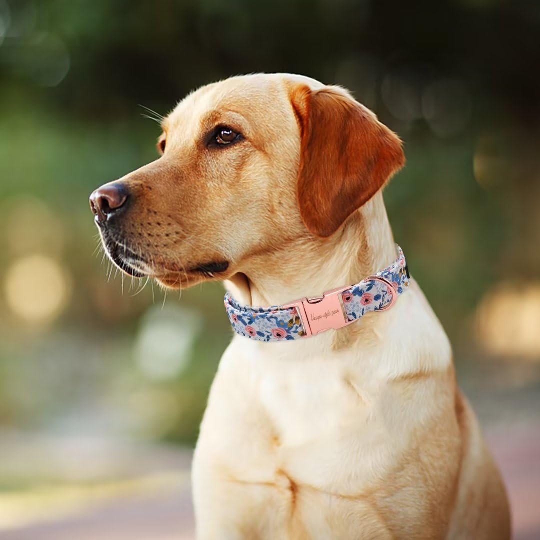 Dog Collar With Metal Buckle, Red Rose Flower Gift for Small - blue flower / M - image 3