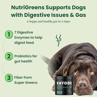 Canine NutriGreens - Natural Dog Vitamins & Probiotics for Dogs. No Messy Powder. Includes Spirulina, Kelp & Antioxidant Berry Mix. 6-in-1 Dog Supplements & Vitamins Chews. Super Greens for Dogs.