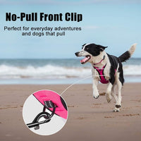 PoyPet No Pull Dog Harness, Reflective Comfortable Vest Harness with Front & Back 2 Leash Attachments and Easy Control Handle Adjustable Soft Padded Pet Vest for Small to Large Dogs (Pink,XL)