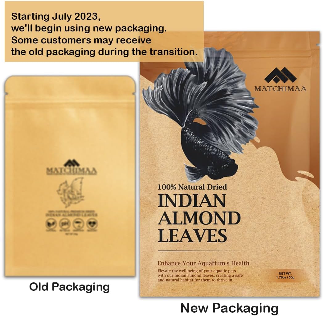 Premium Indian Almond Leave. Aquarium Decorations Size 6-9" Pack 50g. - image 3
