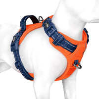 PHOEPET Upgraded No Pull Dog Harness, Reflective Adjustable Vest – Essentials for Dogs - Orange Base & Blue Straps / Extra Large