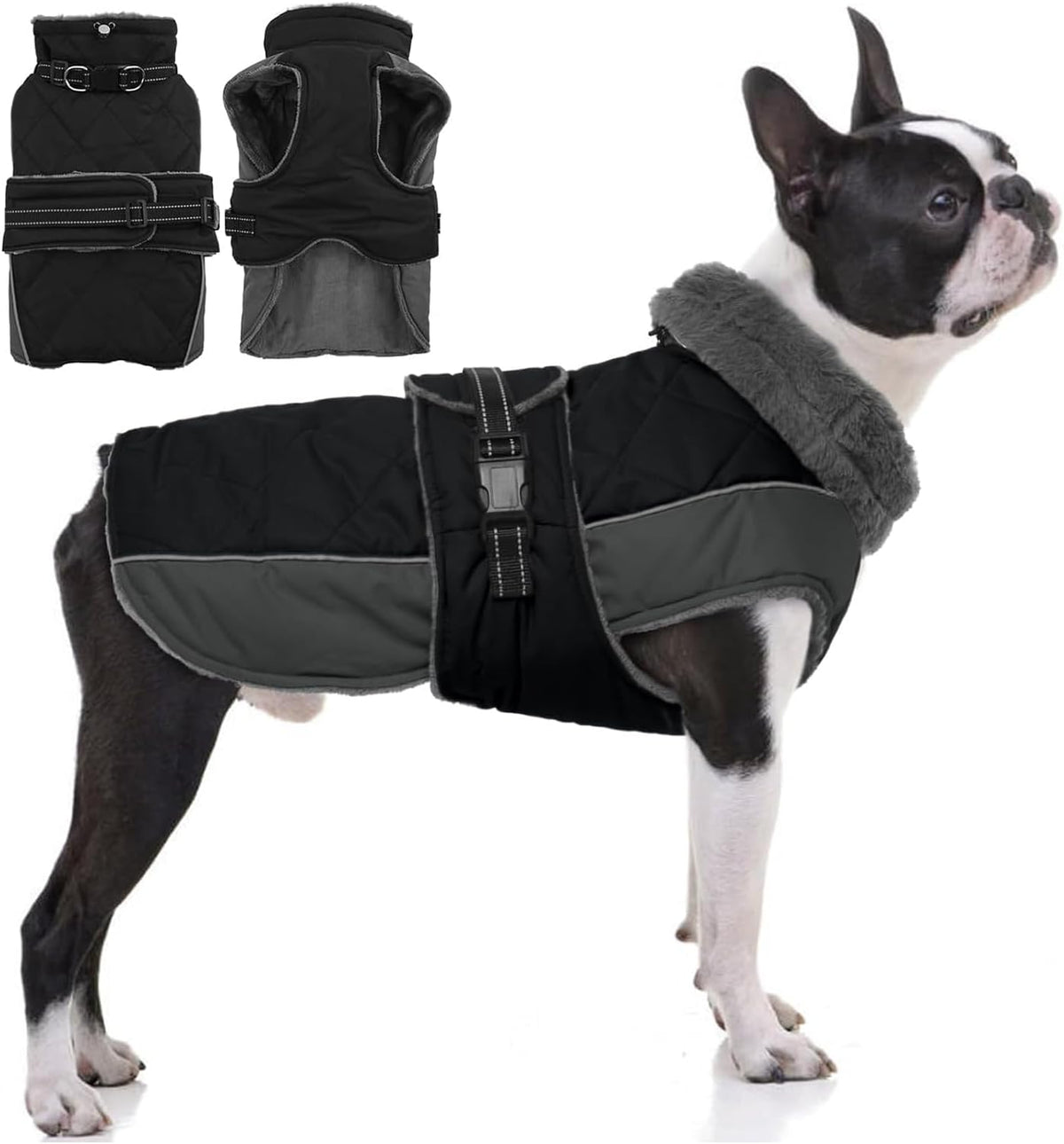 QBLEEV Warm Dog Jacket, Waterproof Dog Winter Coat with Harness – Essentials for Dogs - Black / Large