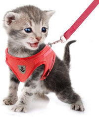 FEimaX Dog Harness and Leash Set for Walking - Red / X-Large - image 2