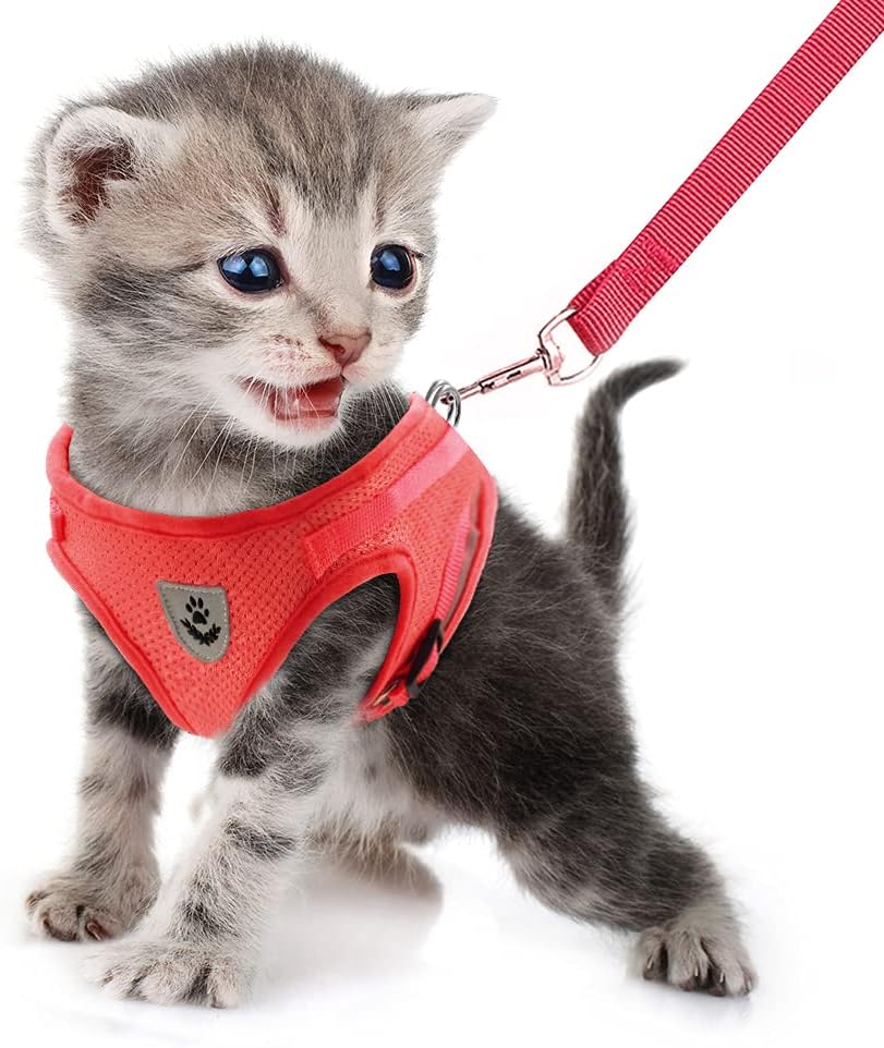 FEimaX Dog Harness and Leash Set for Walking - Red / X-Large - image 2