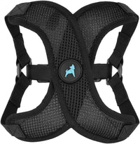 Gooby Comfort X Step-in Lite Harness, Choke-Free - Medium (16-20") / Black