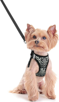 rabbitgoo Dog Harness Small Sized and Leash Set - Black Zigzag / Xxs (chest: 12.4 - 14.2")