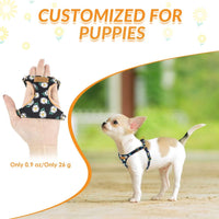 SlowTon No Pull Dog Harness with Leash for Small Medium Dogs - Medium(18-31lb) / Black Daisy - image 2