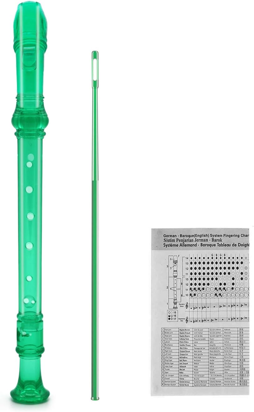 Felt Recorder Case for Soprano, Gray, for Kids – Fun for Kids & Family - Transparent Green