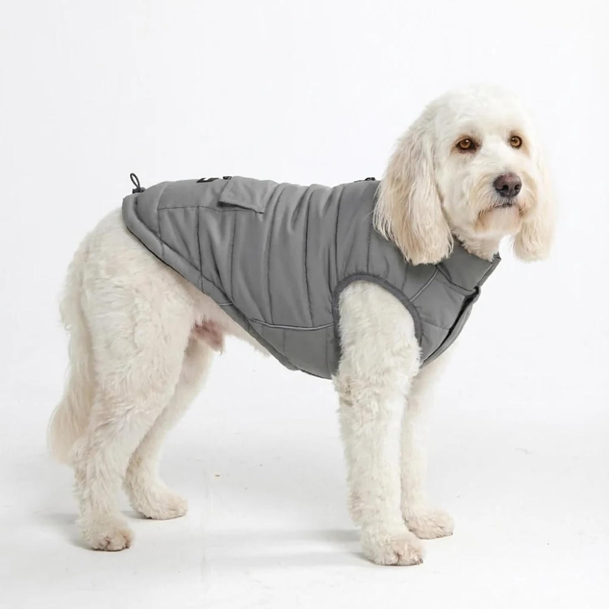 Spark Paws Dog Winter Coat Jacket - Grey / XX-Large