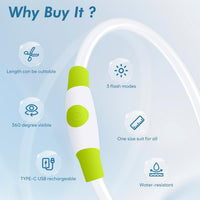 Light Up Dog Collar – Essentials for Dogs - Green (70cm) - image 3