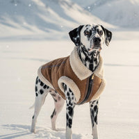 Retro Aviator Dog Jacket – Faux Leather Winter Coat with Plush Sherpa Fleece Lining for Bulldog - Coffee / XX-Large - image 2