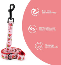 Dog Cat Harness and Leash Set - watermelon / L (Neck 15.7"-21"; Chest 19.6"-28.3") - image 4