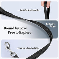 rabbitgoo Dog Harness Small Sized and Leash Set, Step in Soft Light Puppy Vest, Breathable Mesh Pet Harness, Reflective for Safe Easy Walking, Black XXS
