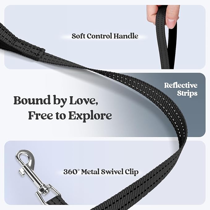 rabbitgoo Dog Harness Small Sized and Leash Set, Step in Soft Light Puppy Vest, Breathable Mesh Pet Harness, Reflective for Safe Easy Walking, Black XXS