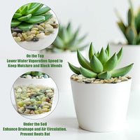 River Rocks 5 Lbs, 3/8 Inch Jade Pea Gravel, Rocks for Plants Indoor, Stones for Garden Landscaping, Vase Filler, Smooth Gravel Filler for Succulents, Cactus, Fish Tank and Vases