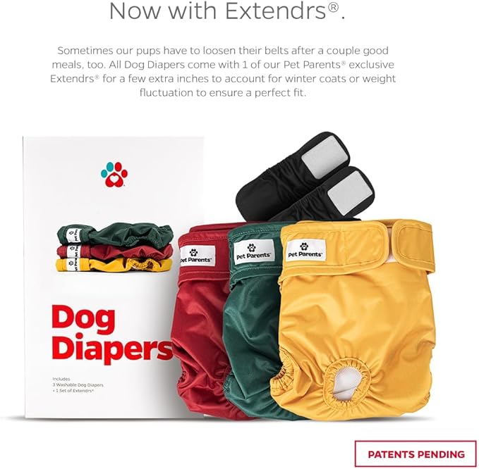 Pet Parents® Washable Dog Diapers (3pack) + Extendrs® of Durable Doggie Diapers, Premium Dog Diapers Female (X-Small, Samba)