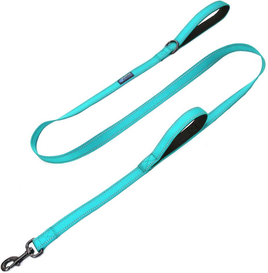 Max and Neo Double Handle Traffic Dog Leash, Reflective - 6 FT / Teal